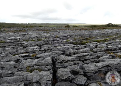 The Burren, un paisaje diferente en Irlanda